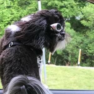 Meet your Posher, Laura